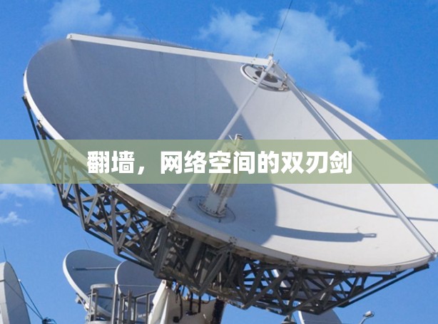 翻墙，网络空间的双刃剑