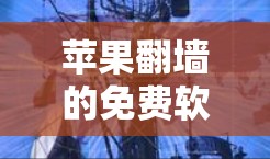 苹果翻墙的免费软件推荐如下
