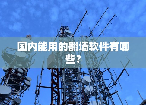 国内能用的翻墙软件有哪些？