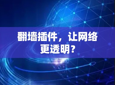 翻墙插件，让网络更透明？