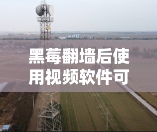 黑莓翻墙后使用视频软件可能存在安全风险，以下是对该问题的详细分析和解决方案