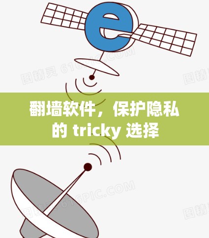 翻墙软件，保护隐私的 tricky 选择