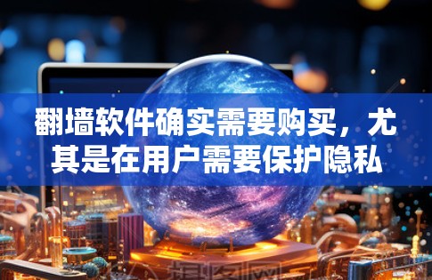 翻墙软件确实需要购买，尤其是在用户需要保护隐私和增强网络安全的情况下。以下是对翻墙软件的详细分析