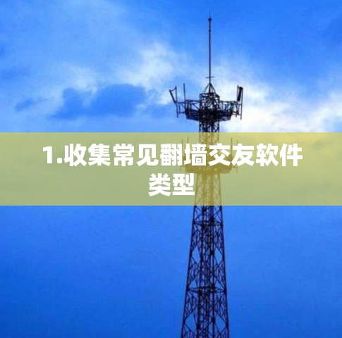 1.收集常见翻墙交友软件类型