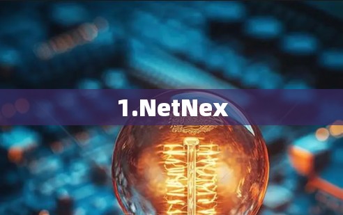 1.NetNex