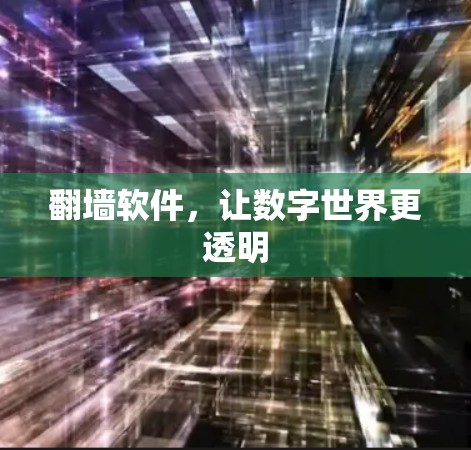 翻墙软件，让数字世界更透明