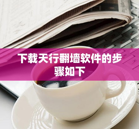 下载天行翻墙软件的步骤如下
