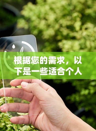 根据您的需求，以下是一些适合个人用户使用的pc翻墙软件推荐
