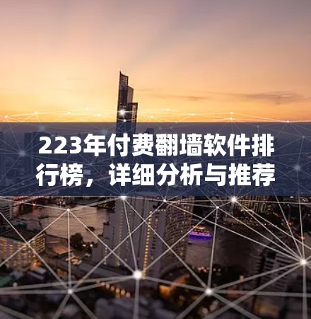 223年付费翻墙软件排行榜，详细分析与推荐