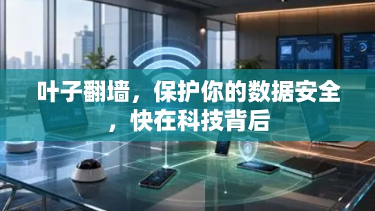 叶子翻墙，保护你的数据安全，快在科技背后