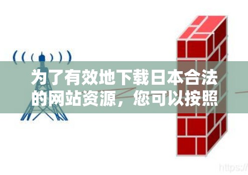 为了有效地下载日本合法的网站资源，您可以按照以下步骤进行操作