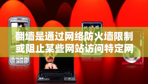 翻墙是通过网络防火墙限制或阻止某些网站访问特定网络区域，通常用于保护用户、限制网络访问或防止某些人使用网络资源。以下是对翻墙使用情况的详细分析