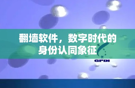 翻墙软件，数字时代的身份认同象征