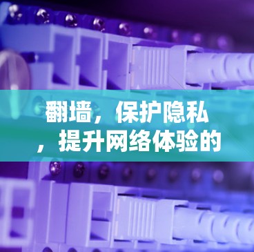 翻墙，保护隐私，提升网络体验的AI驱动解决方案