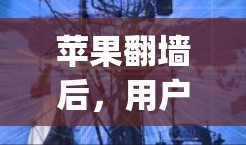 苹果翻墙后，用户可以通过苹果App商店或第三方应用商店来使用苹果账号。以下是一些苹果翻墙后好用的软件推荐，包括在苹果App商店和第三方应用商店中可以使用的工具