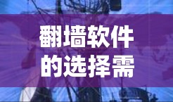 翻墙软件的选择需要根据用户的实际需求和网络状况来决定。以下是一些推荐的翻墙软件，每个推荐的软件都有其独特的功能和适用场景