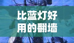 比蓝灯好用的翻墙软件，选择时需注意这些关键点