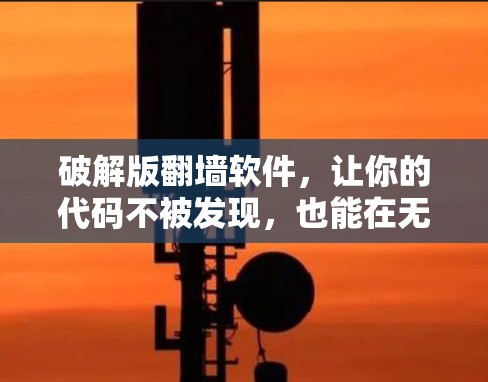 破解版翻墙软件，让你的代码不被发现，也能在无网络状态下运行