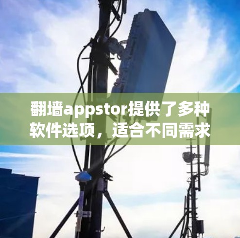 翻墙appstor提供了多种软件选项，适合不同需求的用户。以下是选择和下载的关键步骤