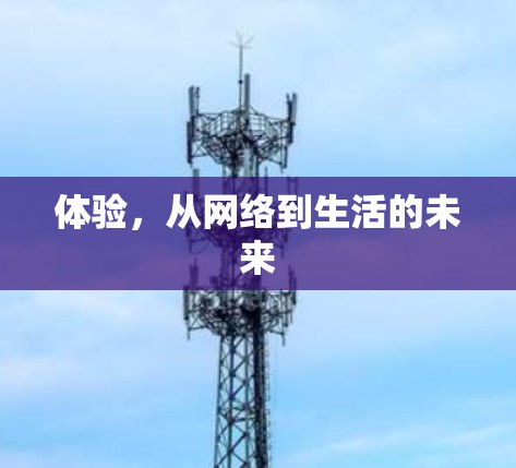 体验,从网络到生活的未来 体验,从网络到生活的未来