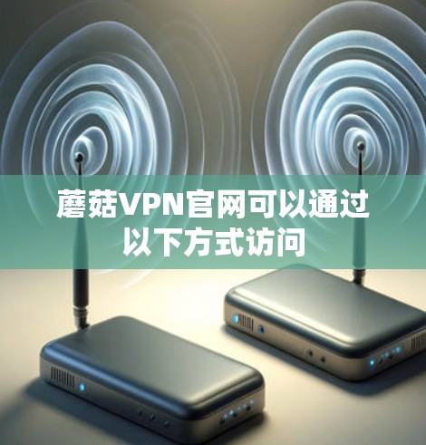蘑菇VPN官网可以通过以下方式访问