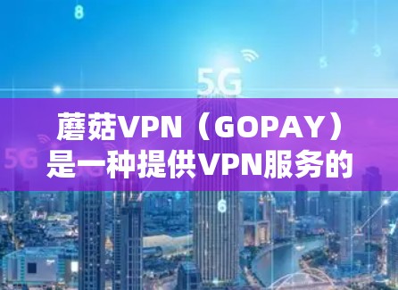 蘑菇VPN(GOPAY)是一种提供VPN服务的平台,专为用户设计用于访问机场、酒店等设施的网络服务。如果你计划在机场使用蘑菇VPN,可以按照以下步骤进行 蘑菇VPN(GOPAY)是一种提供VPN服务的平台,专为用户设计用于访问机场、酒店等设施的网络服务。如果你计划在机场使用蘑菇VPN,可以按照以下步骤进行