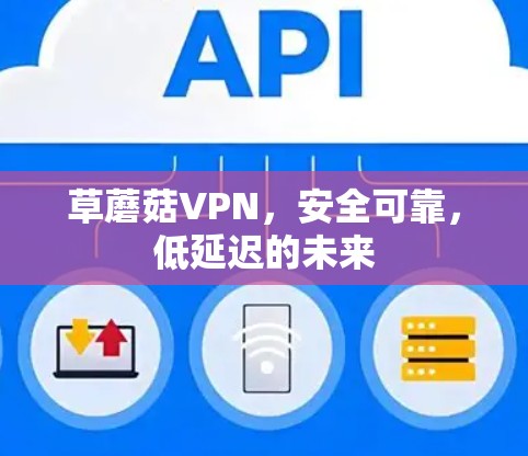 草蘑菇VPN，安全可靠，低延迟的未来