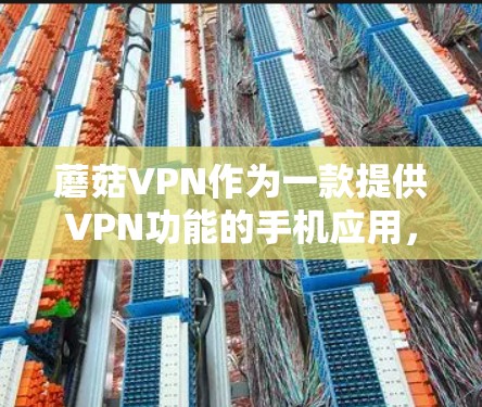 蘑菇VPN作为一款提供VPN功能的手机应用，其真实性和安全性需要谨慎评估。以下是针对蘑菇VPN的逐步建议