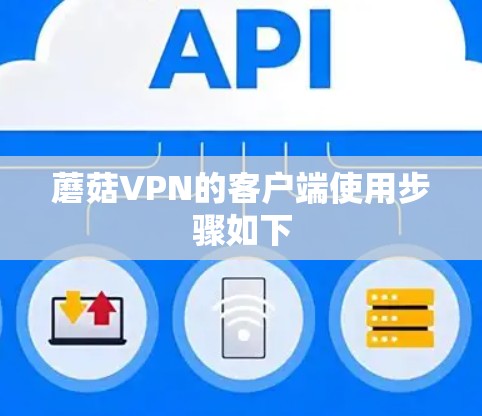 蘑菇VPN的客户端使用步骤如下