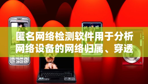 匿名网络检测软件用于分析网络设备的网络归属、穿透率等，以下是几种主要的工具及其特点