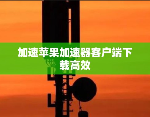 加速苹果加速器客户端下载高效