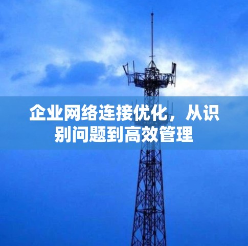 企业网络连接优化，从识别问题到高效管理