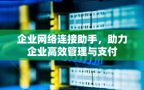 企业网络连接助手，助力企业高效管理与支付