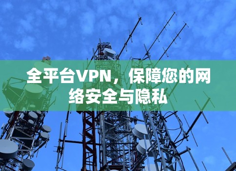 全平台VPN，保障您的网络安全与隐私