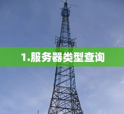 1.服务器类型查询