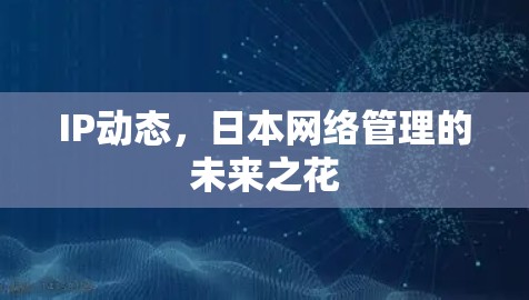 IP动态，日本网络管理的未来之花