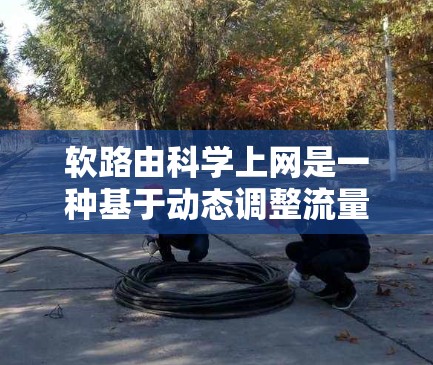 软路由科学上网是一种基于动态调整流量和优化路径的技术，旨在提高网络性能和用户体验，特别是在实时性和延迟敏感的网络环境中。以下是软路由科学上网的详细分析和步骤
