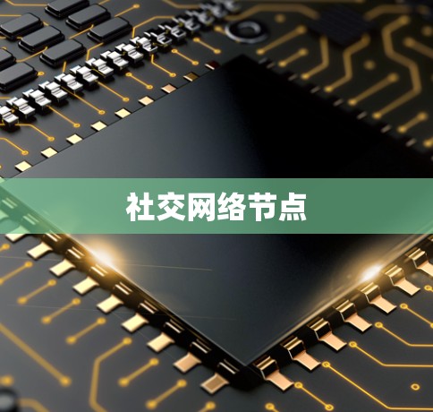 社交网络节点