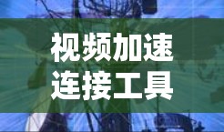视频加速连接工具，提升视频体验的智能解决方案