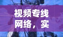 视频专线网络，实时、安全、高效，bitsize轻松连接