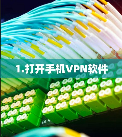 1.打开手机VPN软件