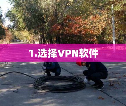 1.选择VPN软件