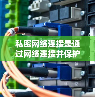 私密网络连接是通过网络连接并保护数据的安全性和隐私性的技术。以下是关于私密网络连接的详细总结