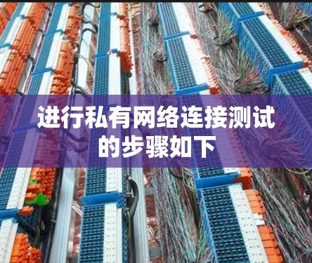 进行私有网络连接测试的步骤如下