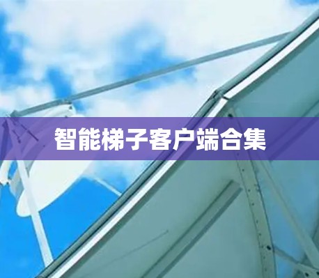 智能梯子客户端合集