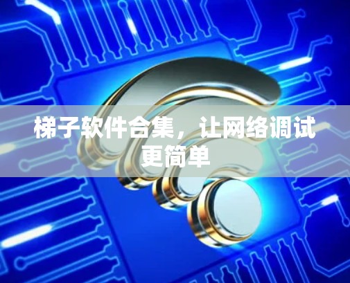 梯子软件合集，让网络调试更简单