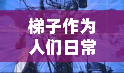 梯子作为人们日常生活中的重要工具，其历史与现代存在很大差异，见证了从古代到现代的演变。梯子不仅用于搬运物品，还成为建筑和装饰中的重要设施。它的最新体验则表明了科技的进步和对使用场景的需求的深入思考