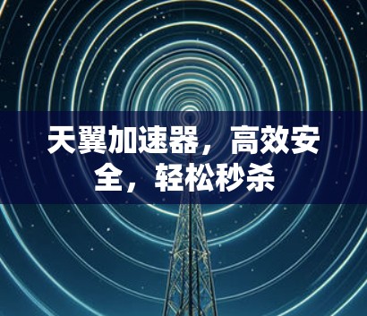 天翼加速器，高效安全，轻松秒杀