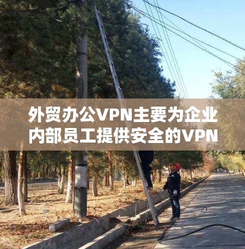 外贸办公VPN主要为企业内部员工提供安全的VPN服务，旨在保护敏感数据和内部网络。以下是对外贸办公VPN的详细介绍