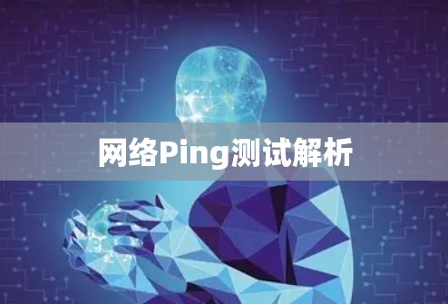 网络Ping测试解析